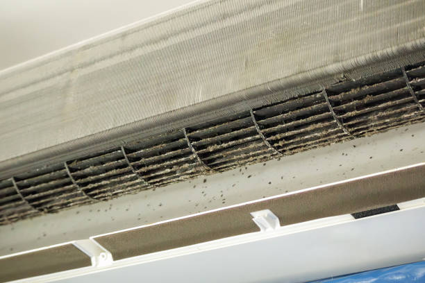 Best HVAC Duct Inspection Services  in Pretty Bayou, FL